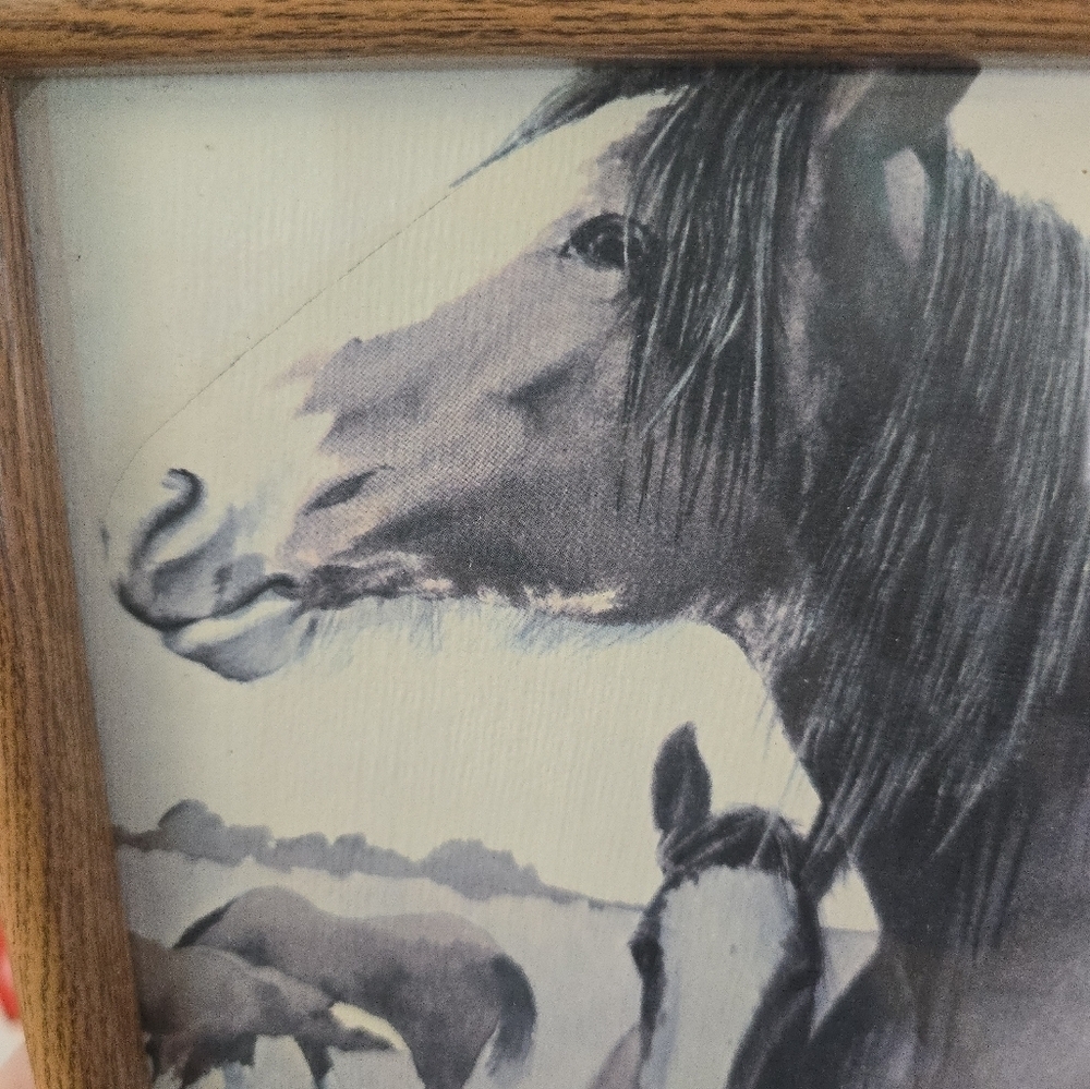 Framed Richard Dick Lynch Pencil Drawing? of Horses 1976 Mom & Fowl - Picture 2 of 8